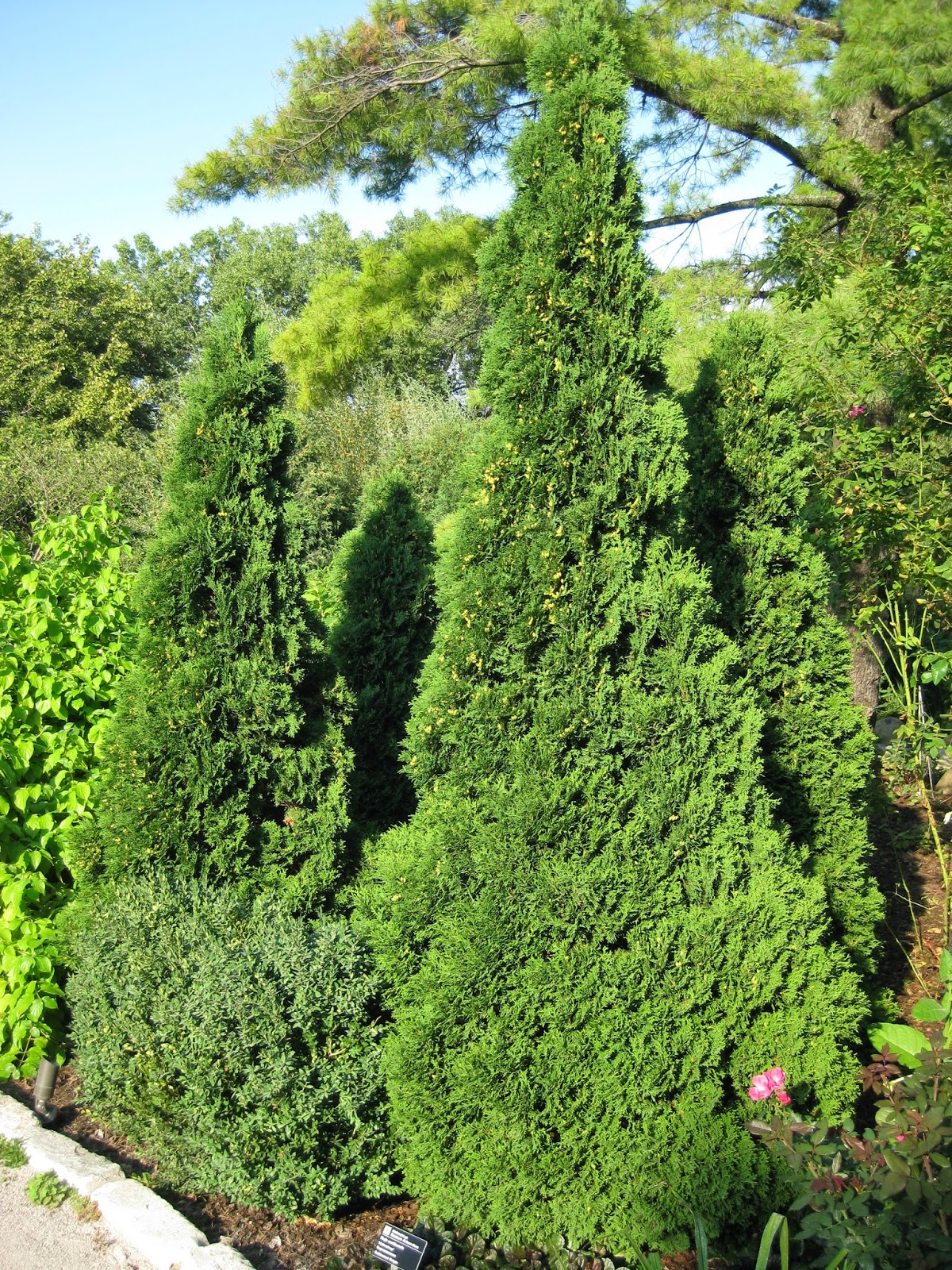 Rotary Botanical Gardens Hort Blog Spring Plant Sale