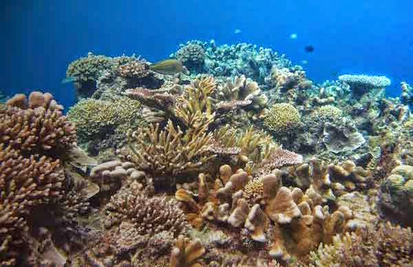 Sifat fisik dan kimiawi laut Indonesia