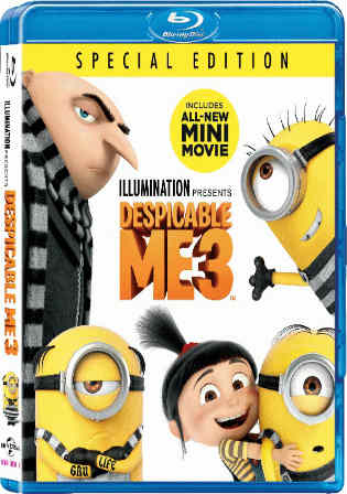 Despicable Me 3 2017 BluRay 300MB Hindi Dual Audio ORG 480p