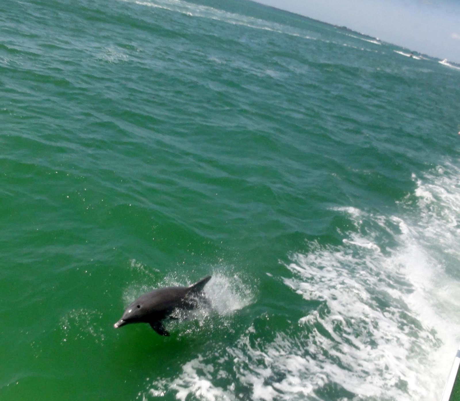 Indianapolis Restaurant Scene U.S. Adventures Cabbage Key Cabbage