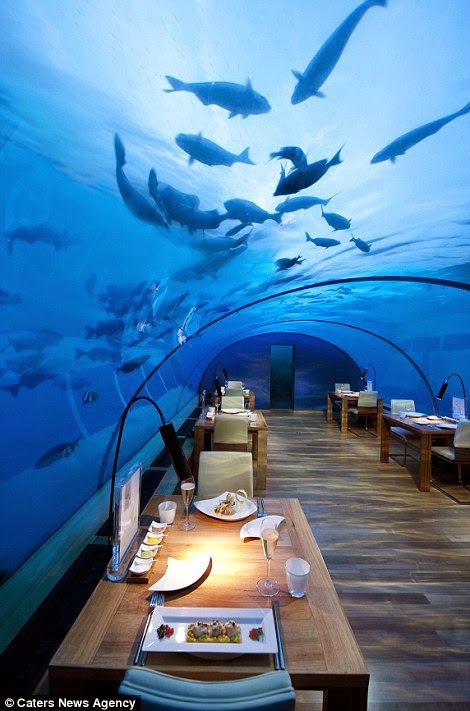 The price for dinner for one person is $320 or £190. - The “Most Beautiful Restaurant In The World” Is Downright Mind-Blowing. The price for dinner for one person is $320 or £190. - The “Most Beautiful Restaurant In The World” Is Downright Mind-Blowing.