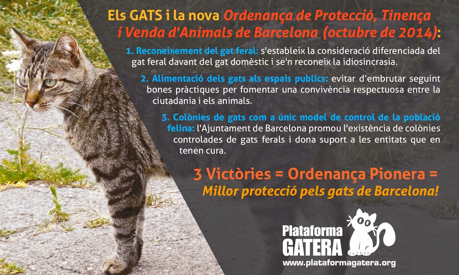 Nova Ordenança de Protecció, Tinença i Venda d'Animals a Barcelona