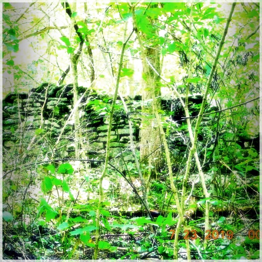 HikingTrails-56604975849