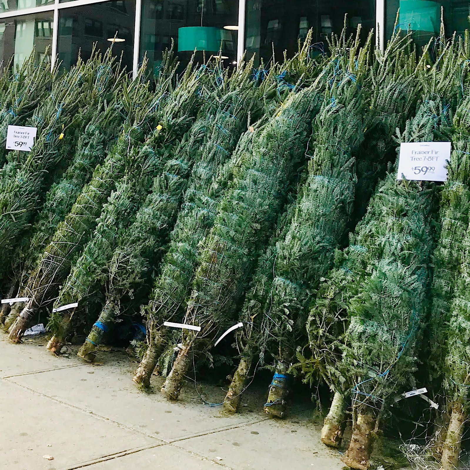 H A R L E M + B E S P O K E SHOP HOLIDAY TREES AT WHOLE FOODS