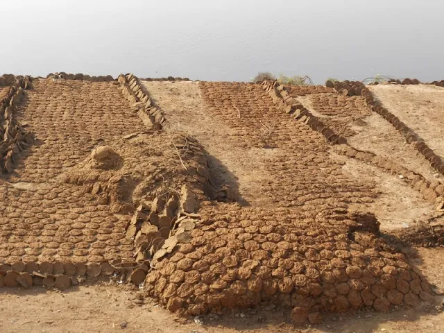 Fuel patties made from dung drying in the sun in Agra India