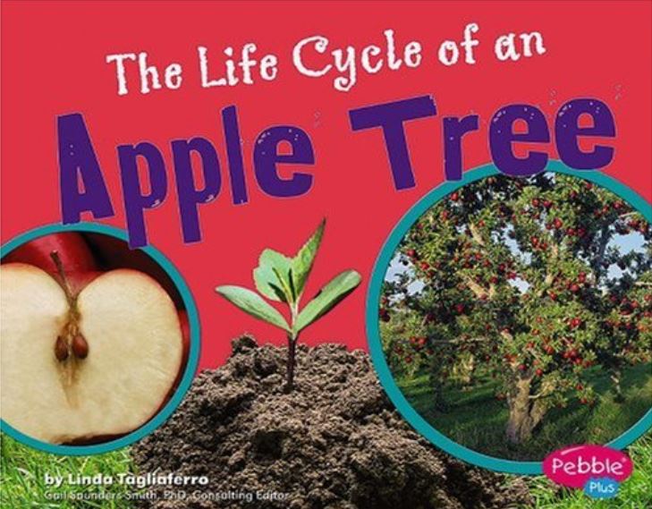 Top 10 Books for August | The Picture Book Teacher's Edition