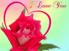 i love you flowers images download 13