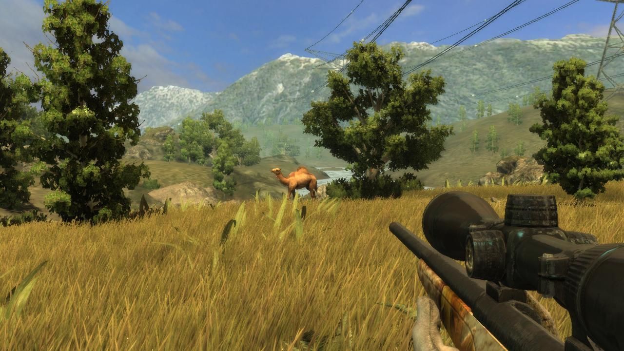 Bult hunting simulator игра. Hunters trophy 2 europa. игра стать охотником. игра охота 3. игра стать охотником.