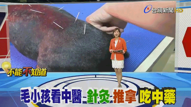 高雄動物醫院,貓醫院,外科氣體麻醉,腫瘤治療,中藥針灸,寵物中醫,中獸醫