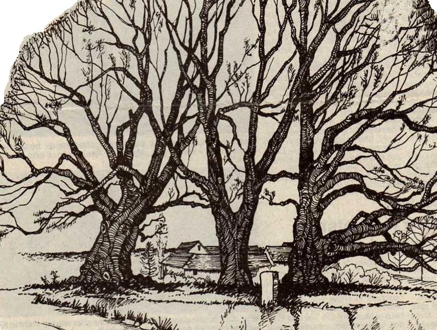 Muhlhausen Geschichte Und Mehr 52 30 Jahre Hotel Stadt