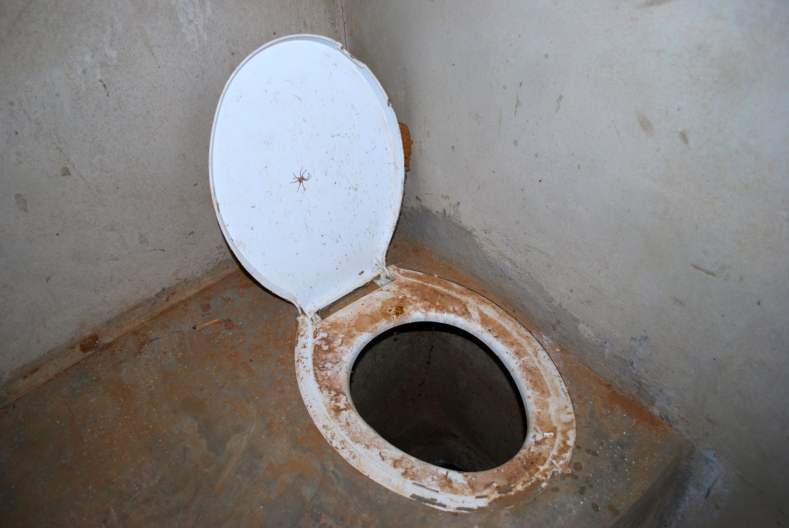 The Life of Pai Pit Latrine Musings