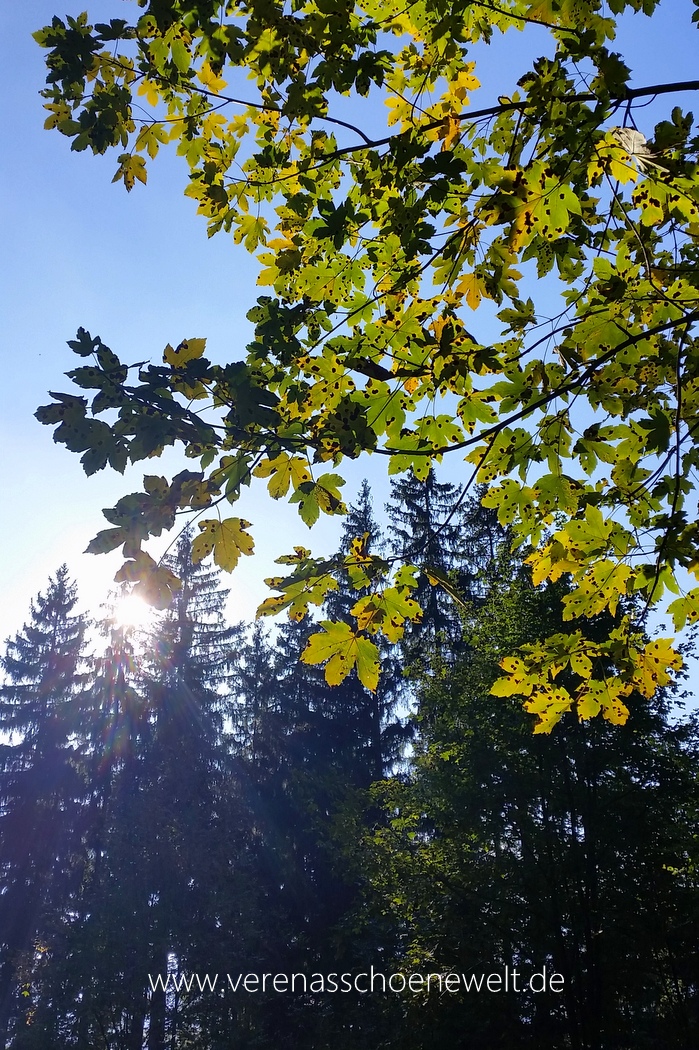 Unterstutze Unser Erdkinderhaus Montessori Forderverein