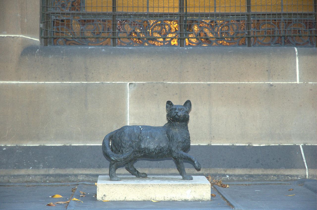 Trim the Explorer Cat with Matthew Flinders