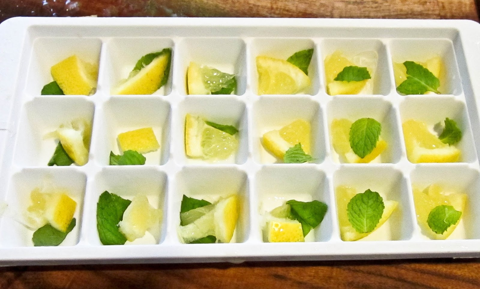 Mint and Lemon Slice Ice Cubes