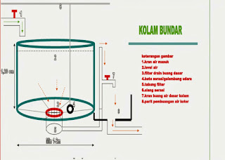 Cara Mudah Membuat Kolam Bioflok Untuk Ikan Lele Sukses