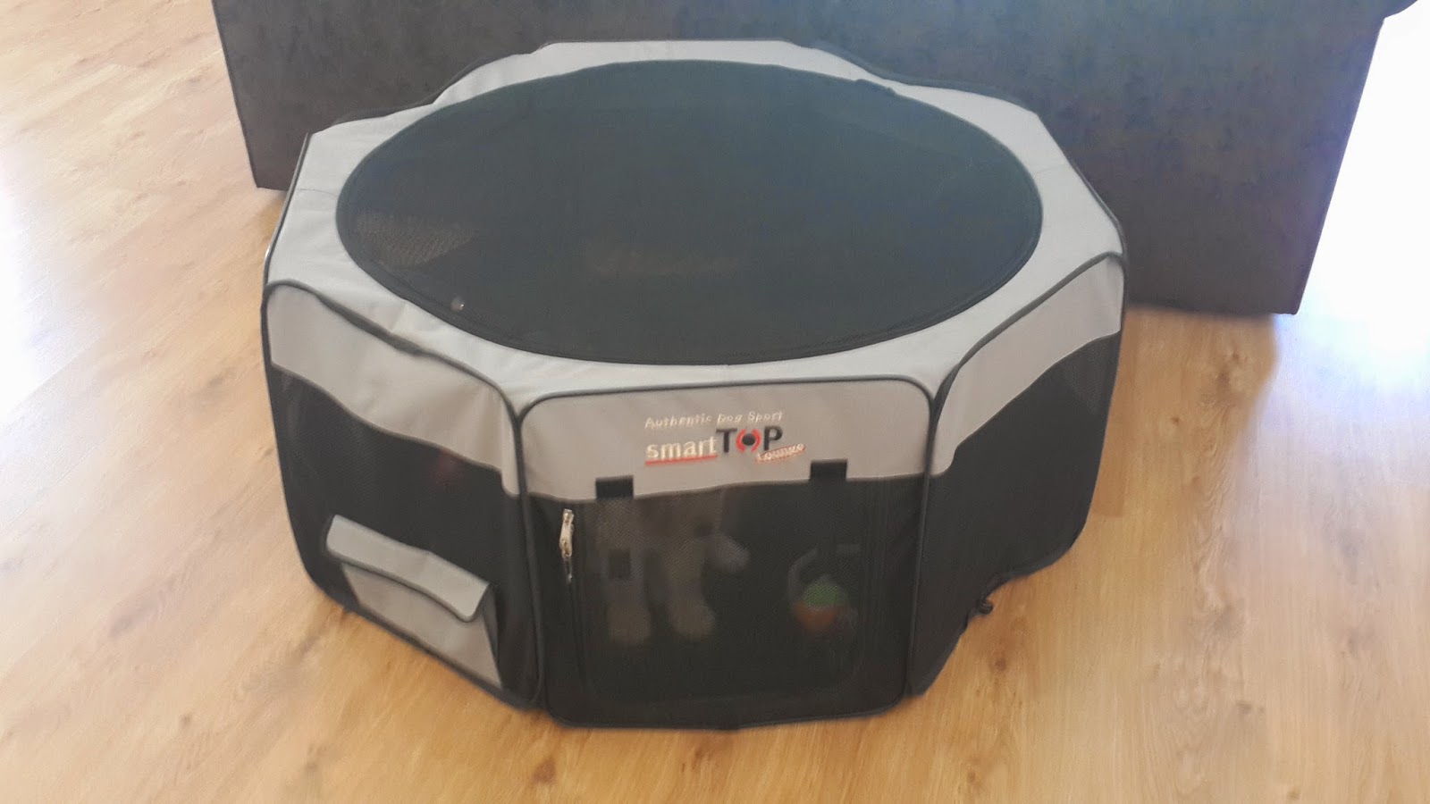 Köpek Isırınca Yapılması Gerekenler Köpek Isırınca Yapılması Gerekenler