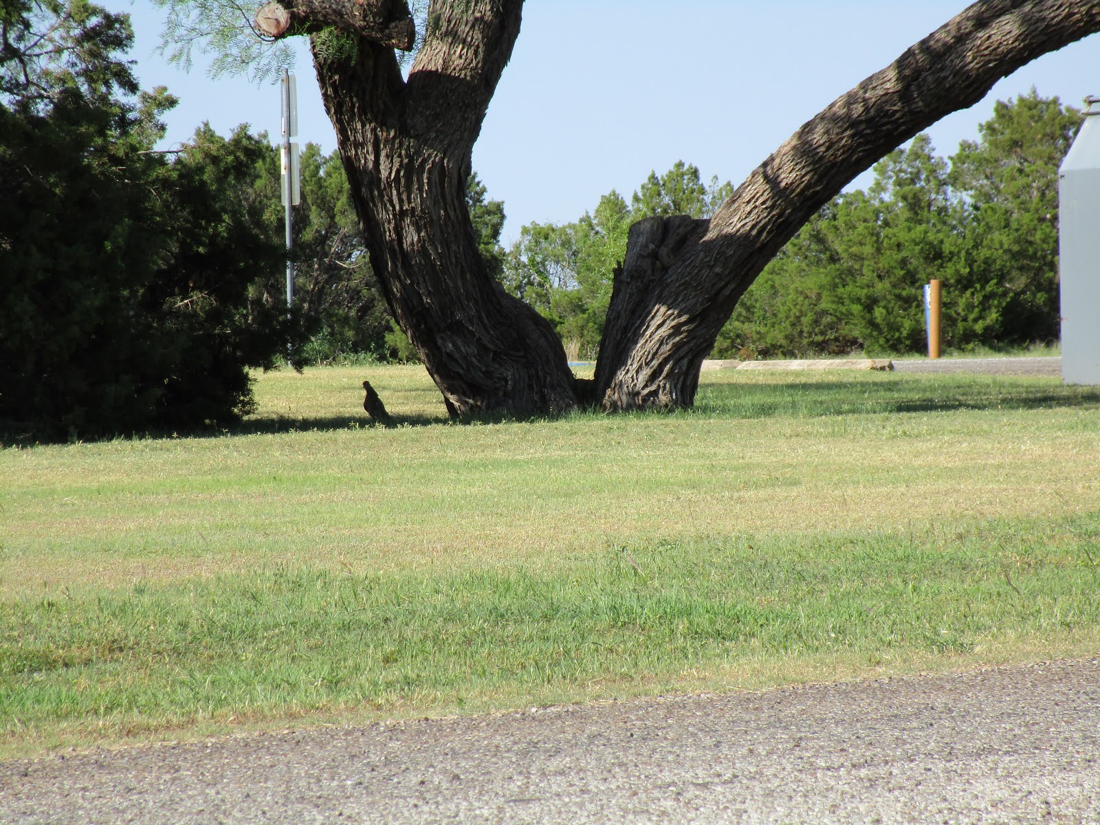 Where in the USA RV? Copper Breaks State Park, Quanah, Texas