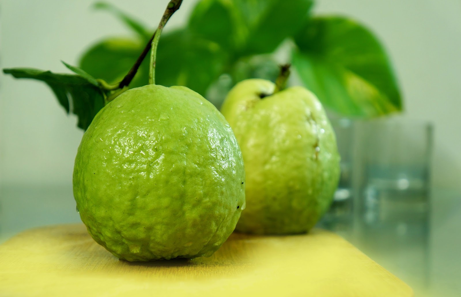 Guavano - ЁЯзб ╨Ш╨╗╨╗╤О╤Б╤В╤А╨░╤Ж╨╕╤П ╨░╨║╨▓╨░╤А╨╡╨╗╨╕ ╤А╨╛╨╖╨╛╨▓╨╛╨│╨╛ Guava ╨Ш╨╗╨╗╤О╤Б╤В╤А╨░╤Ж╨╕╤П ╤И╤В╨╛╨║╨░ - ╨╕╨╗╨╗╤О.