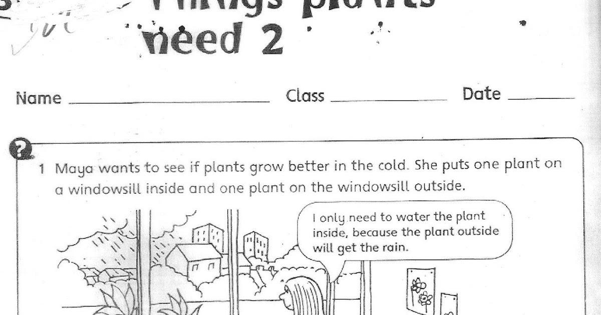 science-worksheets-for-grade-3-with-answers-pdf-science-12-2nd-grade