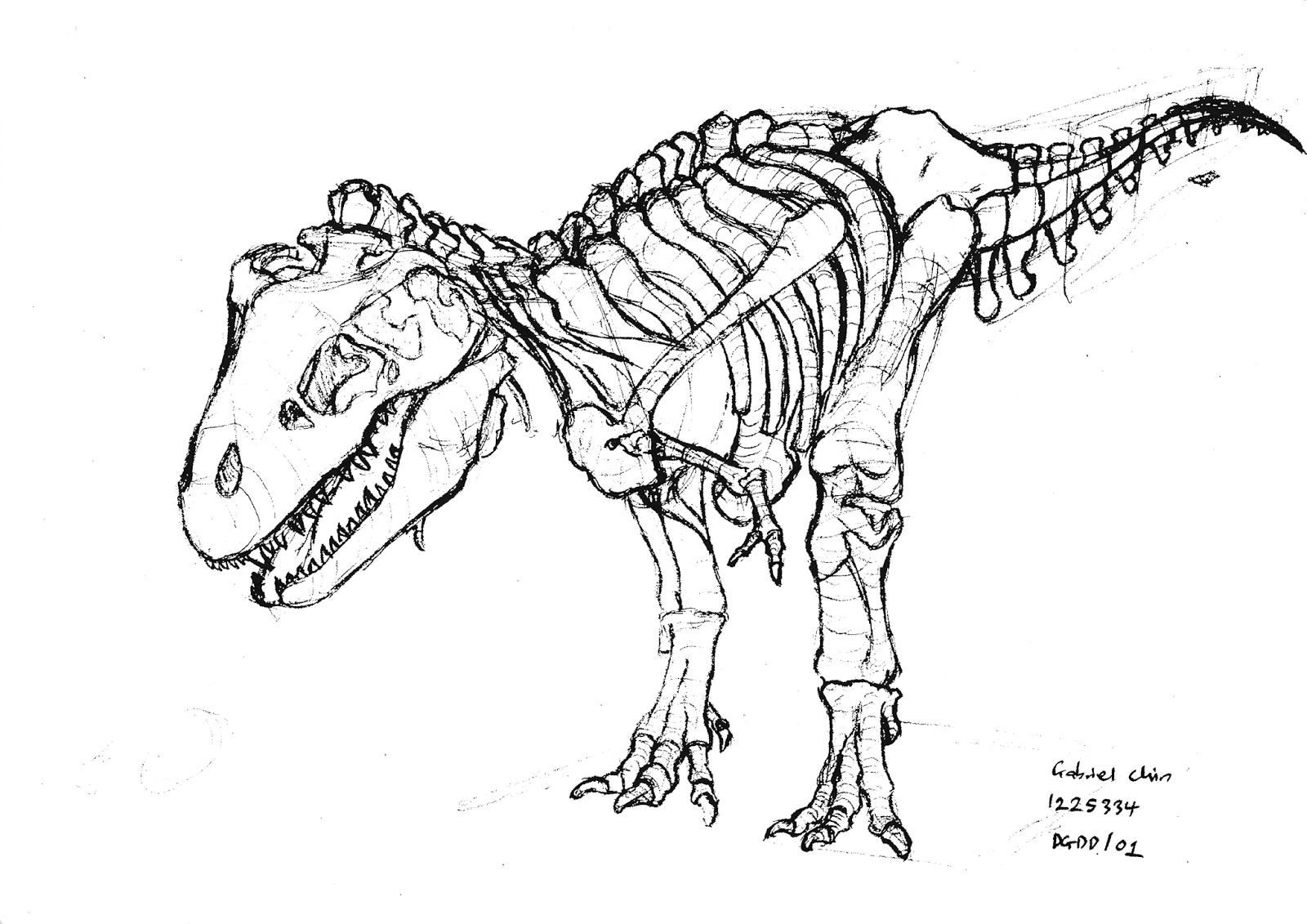 online portfolio: pencil sketch - t-rex