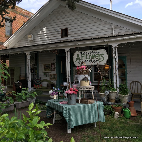 Weekend Adventures Update Jamestown Antiques shops galore!; things to do