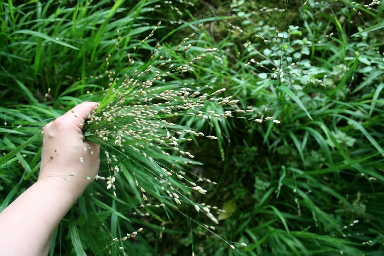 Chambres D Hotes Au Jardin Des Violettes
