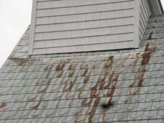 Berridge shingles rusting after 7 years