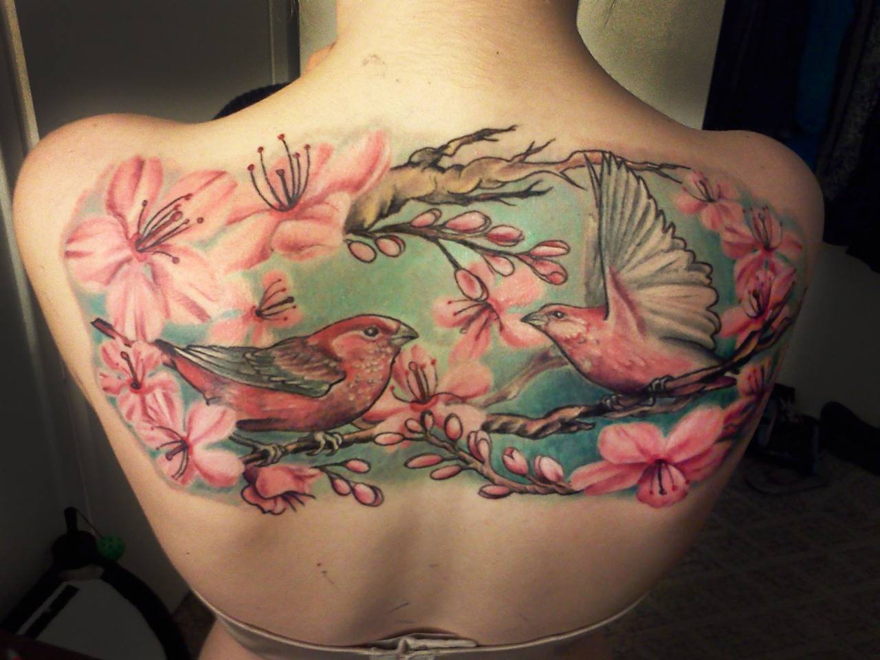 FREE TATTOO PICTURES Bird Tattoos Find The Best Type Of Bird Tattoos FREE TATTOO PICTURES Bird Tattoos Find The Best Type Of Bird Tattoos