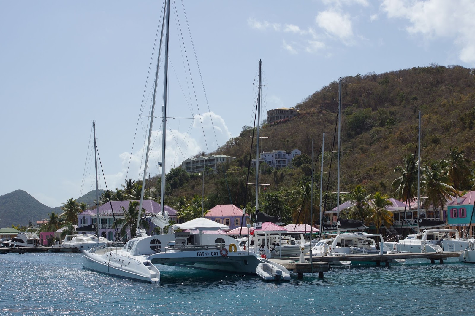 The Cheerful Cruiser! Terrfific Tortola Land and Sea Excursion Review