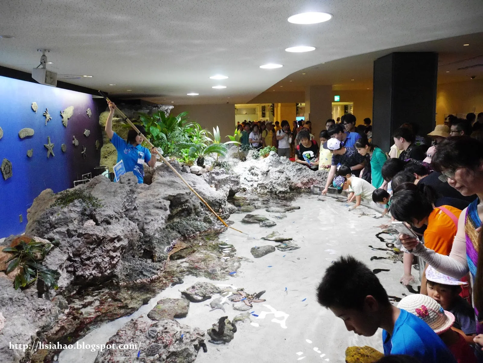 沖繩-海洋博公園-美麗海水族館-景點-自由行-旅遊-旅行-okinawa-ocean-expo-park-Churaumi