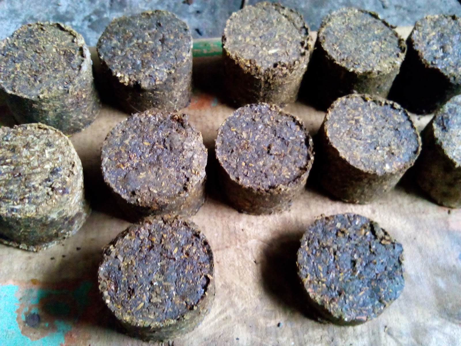 Cara Membuat Mineral Blok Mudah Joynim Farm