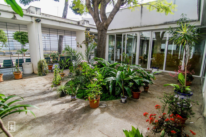 Centro de Mayores Ciudad Jardín: Quienes somos