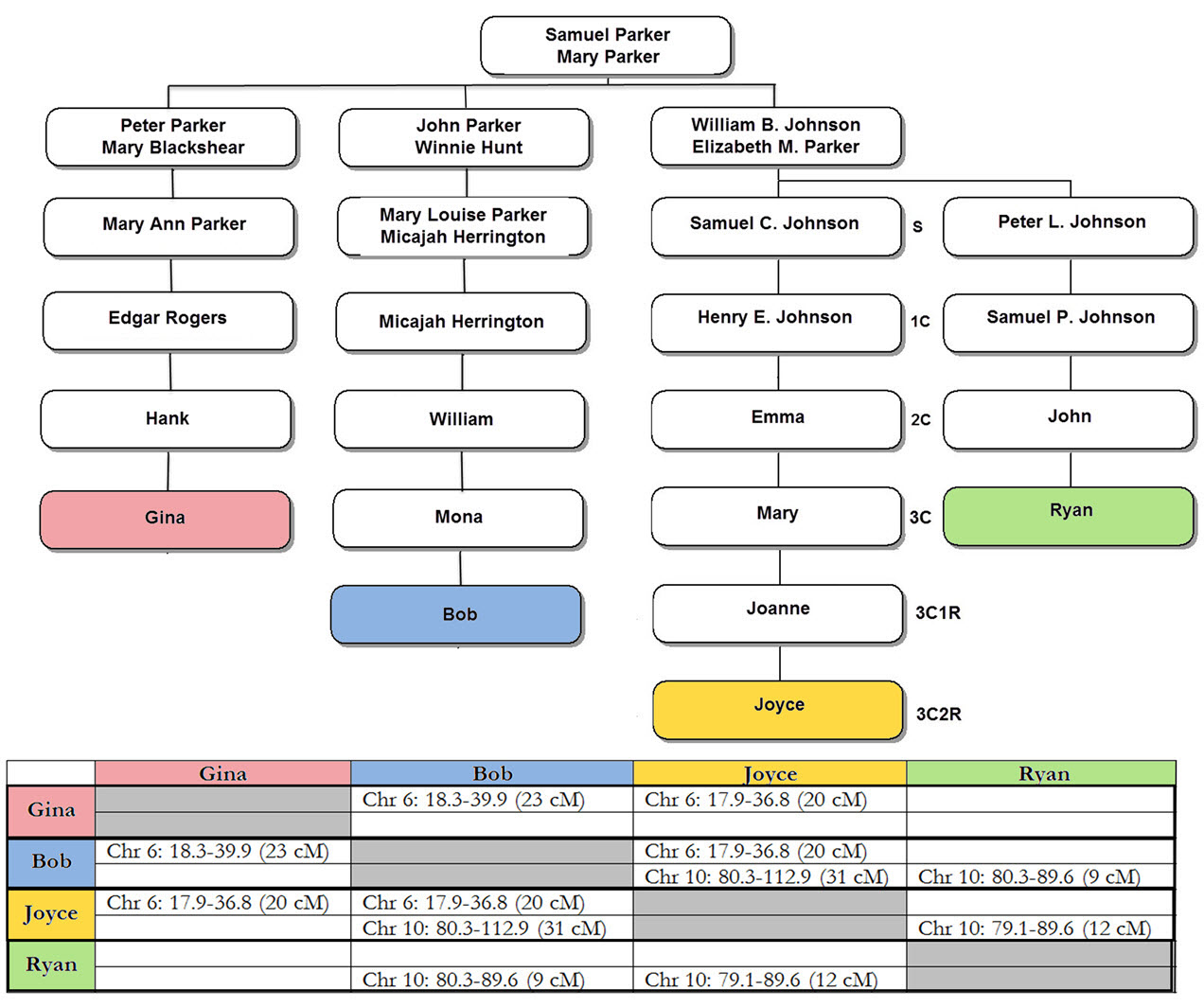 deb s delvings in genealogy wanted genetic genealogy smart genealogy