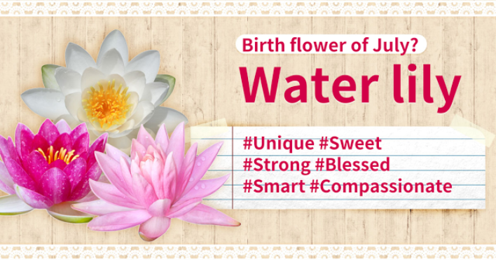 Image result for july birth flower waterlily pic