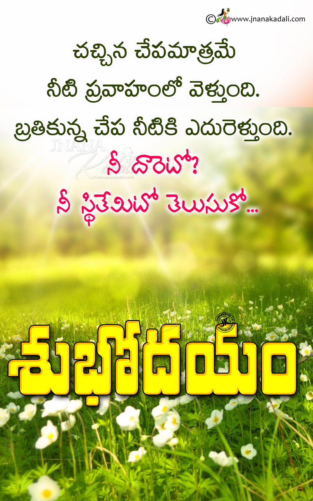 Telugu Latest Good Morning Life Changing Best Words-Telugu ...