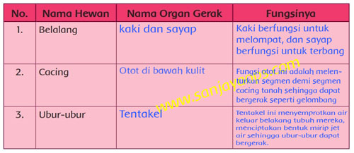 Kunci Jawaban Tematik Kelas 5 Tema 1 Halaman 41 42 43 44 45 46 49 Sanjayaops Kunci Jawaban Tematik Kelas 5 Tema 1 Halaman 41 42 43 44 45 46 49 Sanjayaops