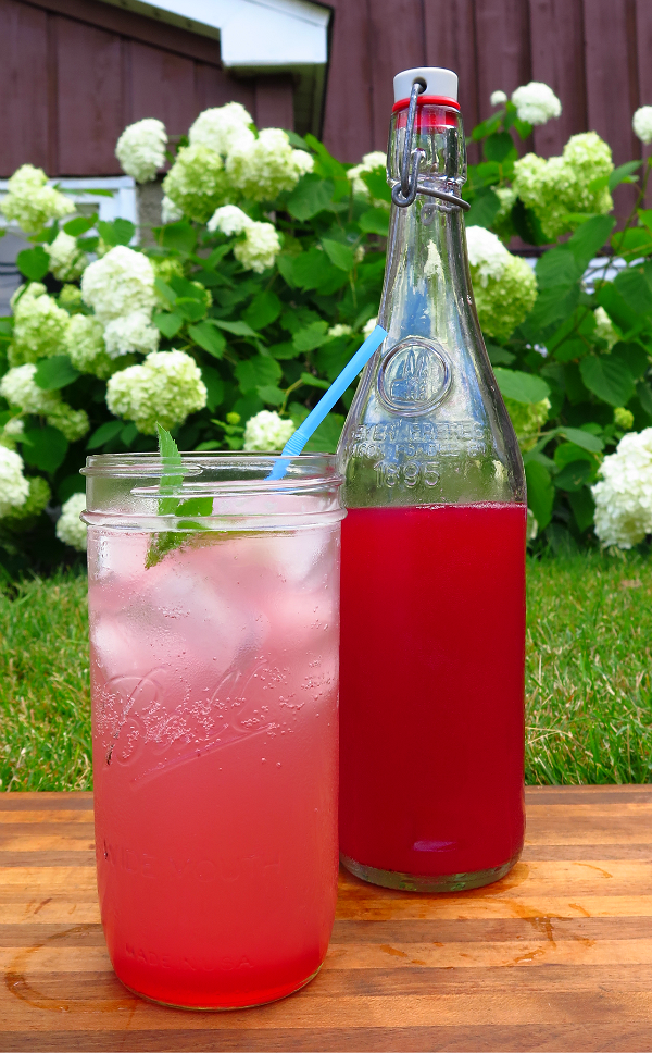 Rhubarb Simple Syrup MrBrownThumb