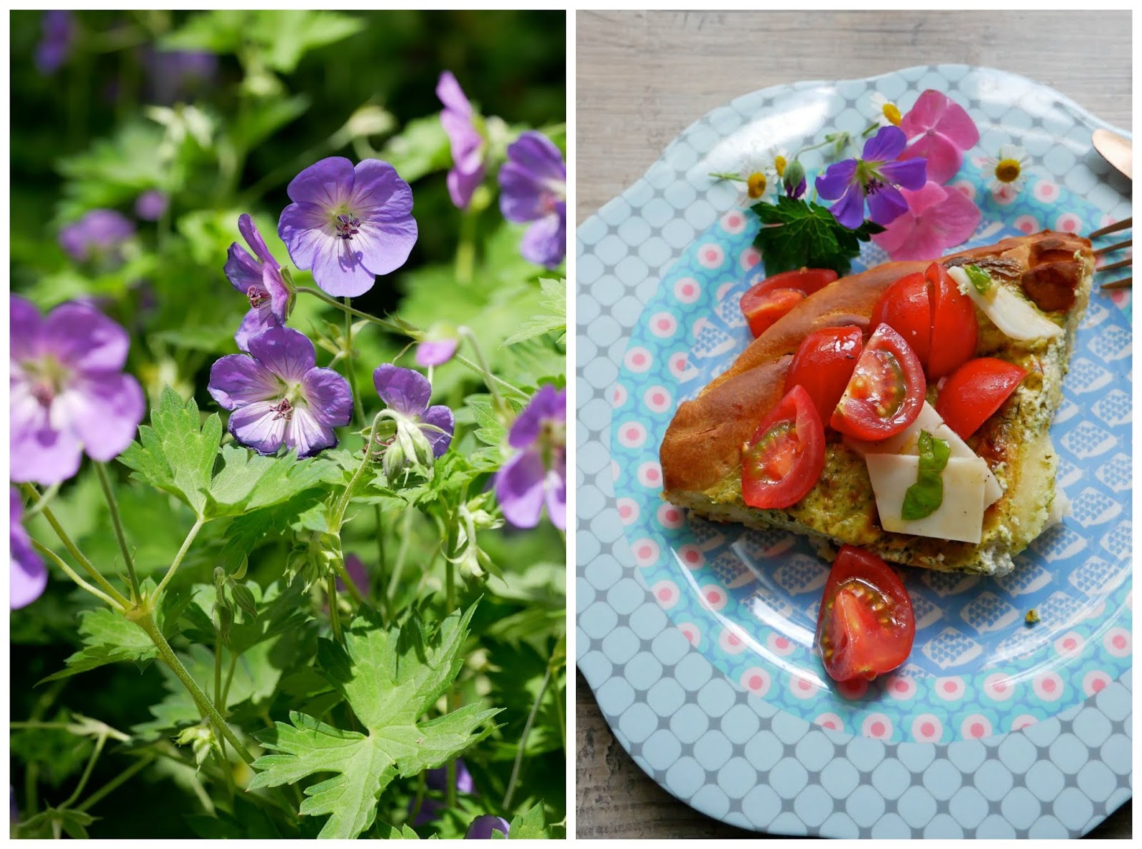 Le Monde De Kitchi Meine 25 Kalenderwoche 2018