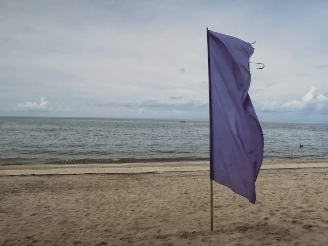 Flaglets at Laiya Coco Grove Beach Resort