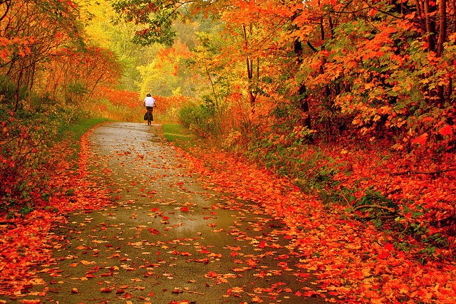 جمال الطبيعة في فصل الخريف " 14 صورة