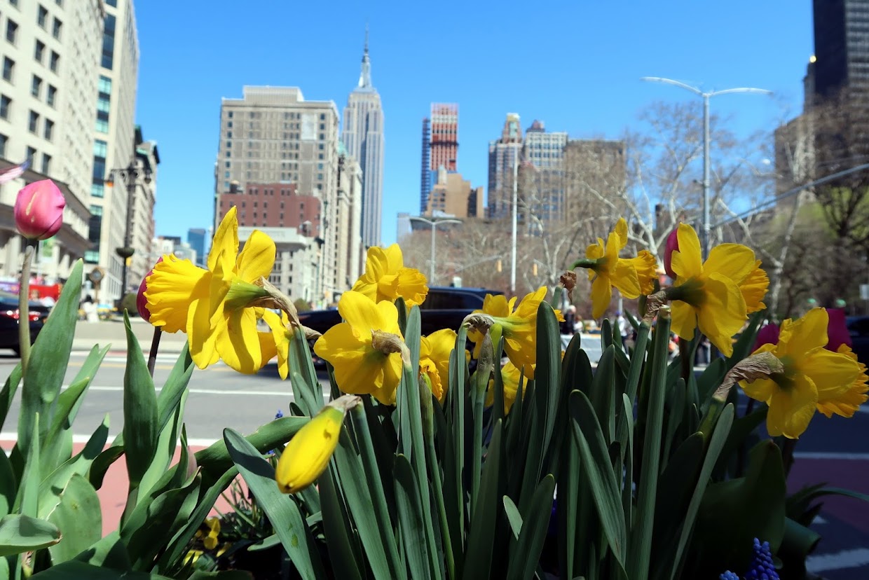 Double Skinny Macchiato: Snapshots from a New York Spring Break