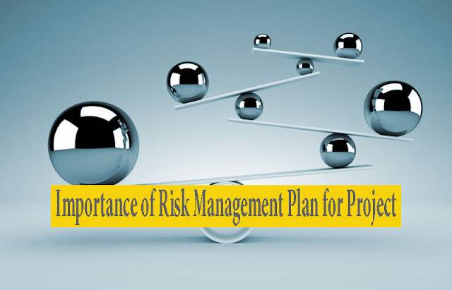 Risk Management Plan Example