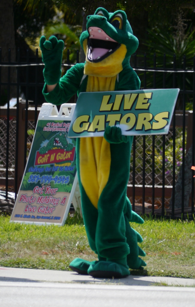 Floride Live Gators