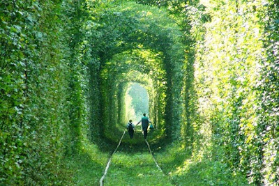 Inilah Terowongan Paling Romantis di Dunia
