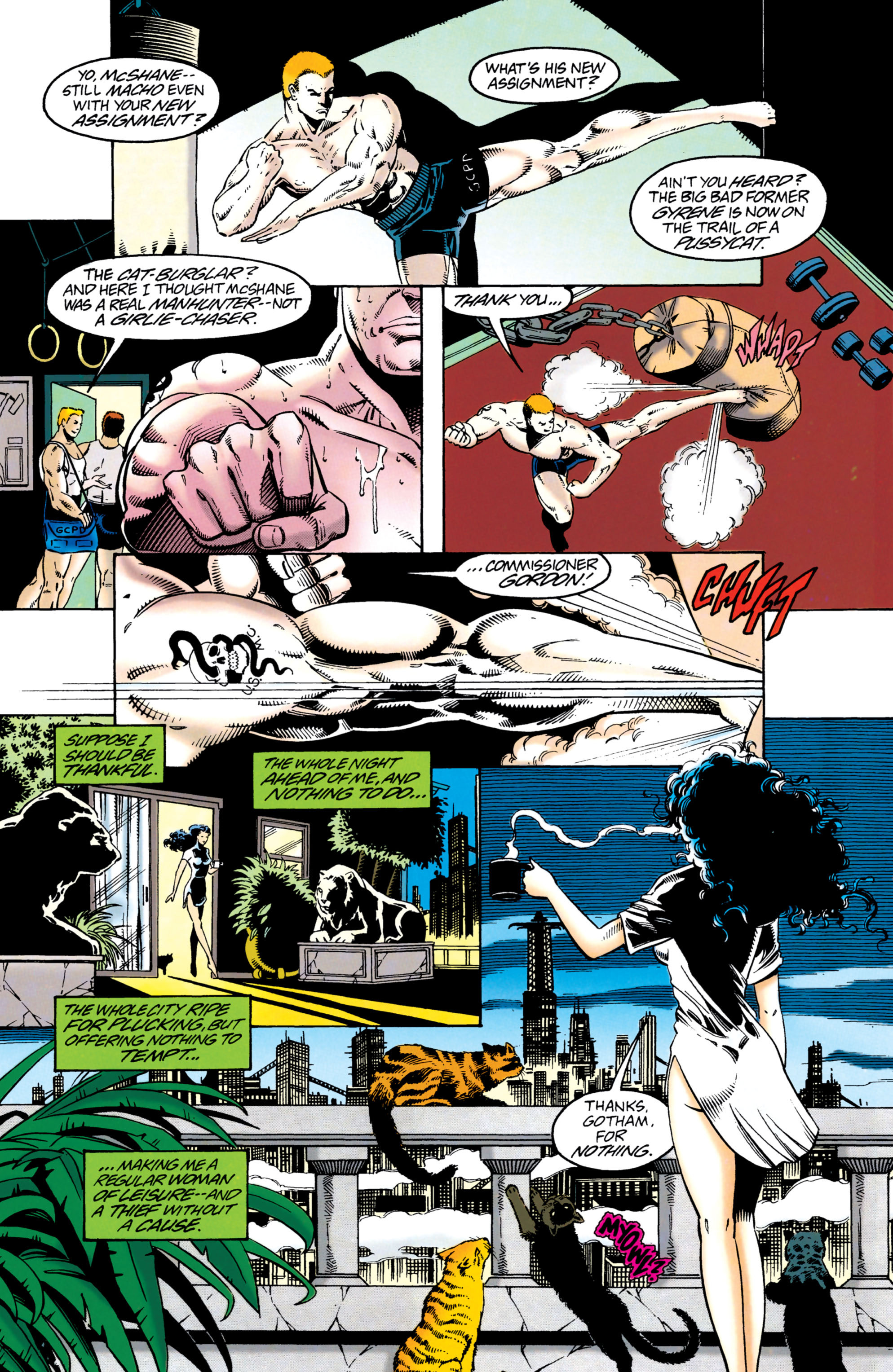 Catwoman (1993) Issue #41 #46 - English 6