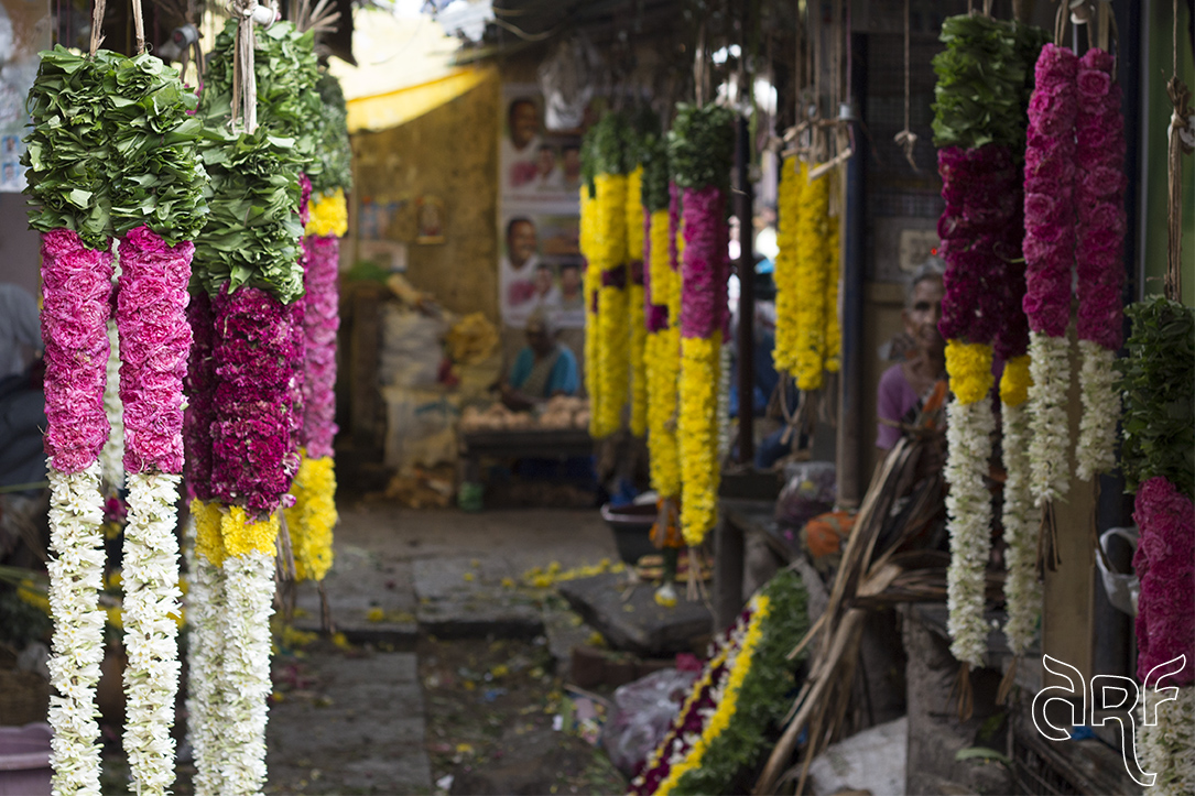 dAnielle's flow India Pondicherry