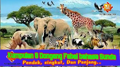 Kumpulan 9 Contoh Cerita Dongeng Fabel (Sasatoan) Bahasa Sunda!