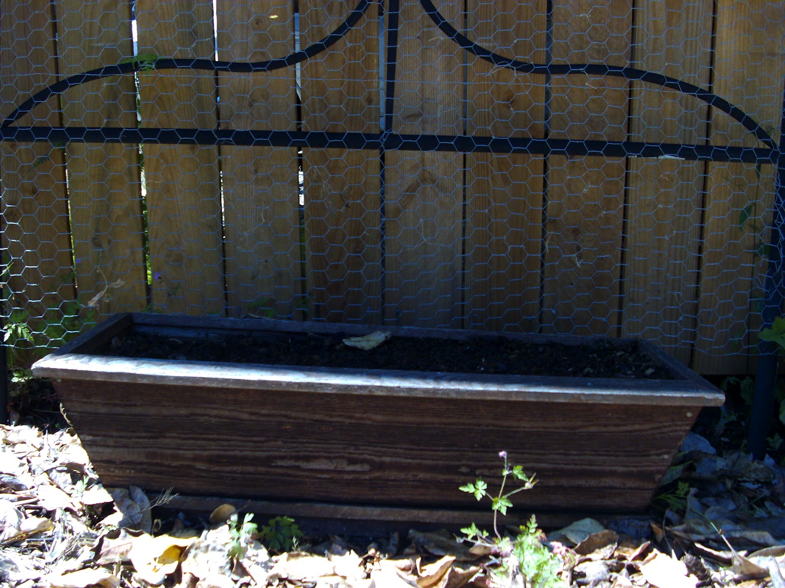 Green Heart Growing Project