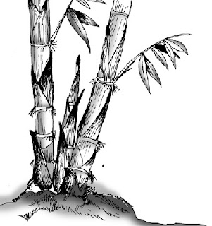 Pohon bambu