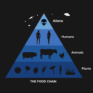 ¿la cadena alimenticia del futuro?.......